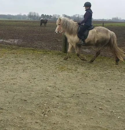 Fredensminde Ferie